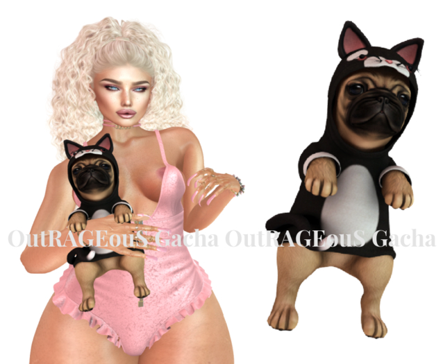 .Birdy. Puggly {Kitty}