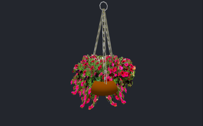 Hanging Basket6