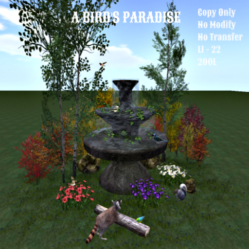 A Birds Paradise - Boxed