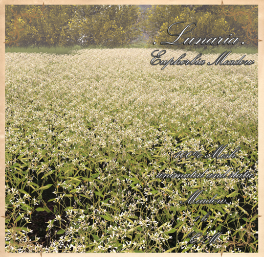 .Lunaria. Euphorbia Meadow 