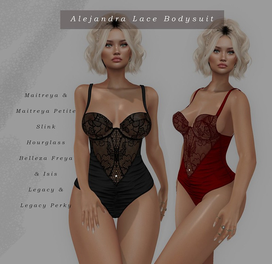 Alejandra Lace Bodysuit !