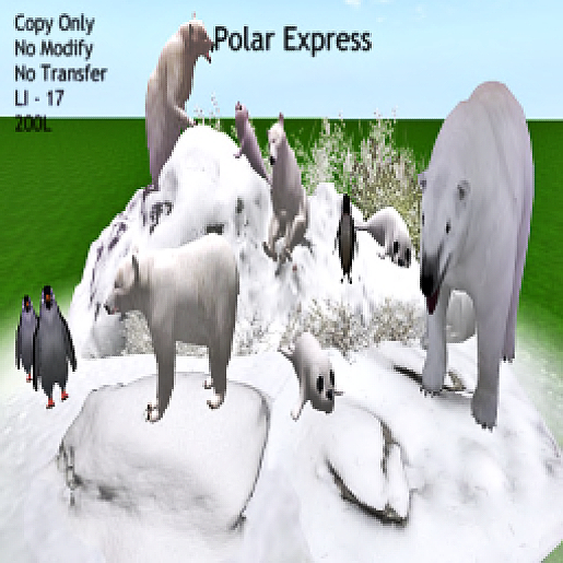 Polar Bear Express - Boxed