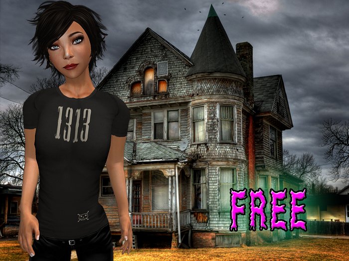 1313 t shirt