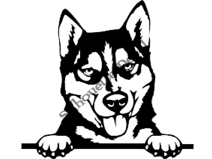 Husky Decal