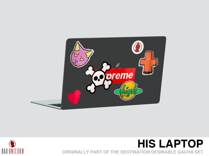 His Laptop (Previously - Destination Desirable Gacha Set)