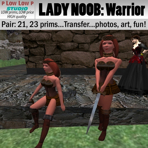 P Low LADY NOOB Warrior set