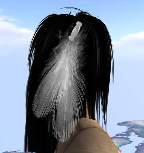 Feathers/Hair  white