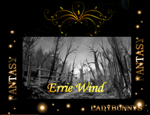 Soundscape-Bunny's Sounds-Errie Wind Sound
