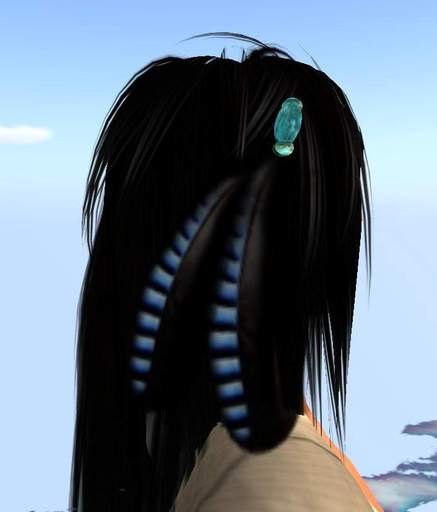 Feathers/Hair  black