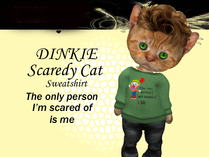 RT - Scaredy cat- SWEATER-green- bagged