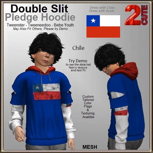 Double Slit Pledge Hoodie [2cute] Chile