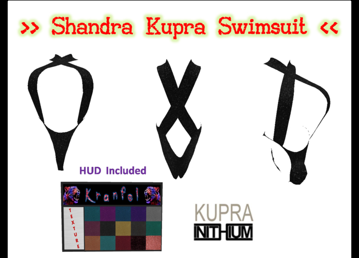 >> Shandra Kupra Swimsuit <<