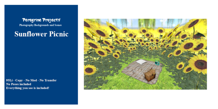 Peregrine_Project - Sunflower Picnic