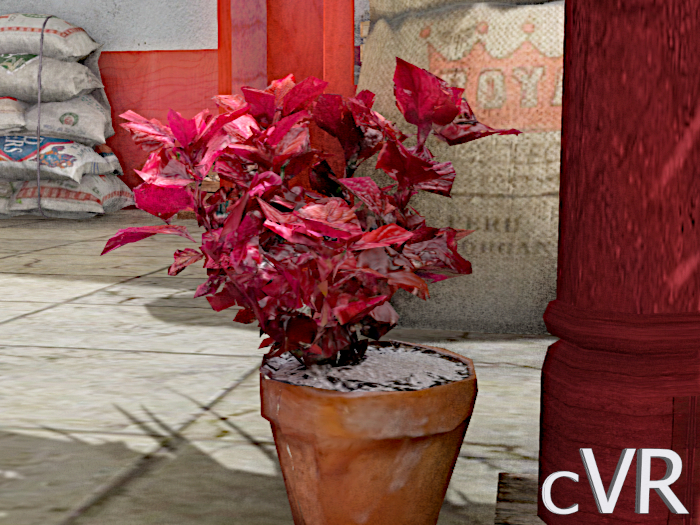 cVR Red plant in a pot box