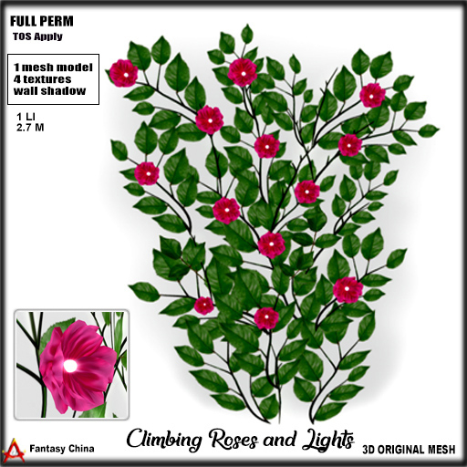 FULL PERM Climbing Roses and Lights