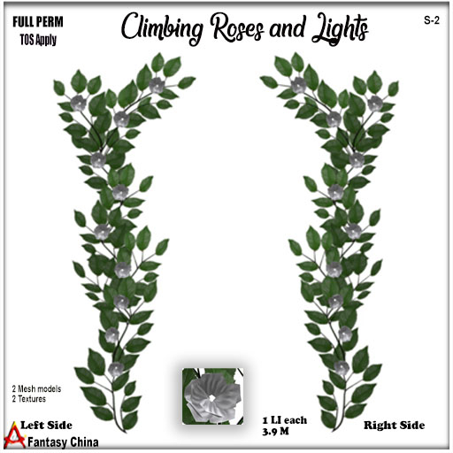 FULL PERM Climbing Roses and Lights s-2