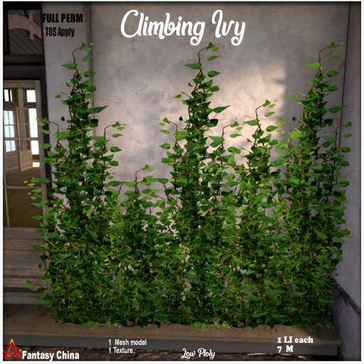 FULL PERM Climbing Ivy