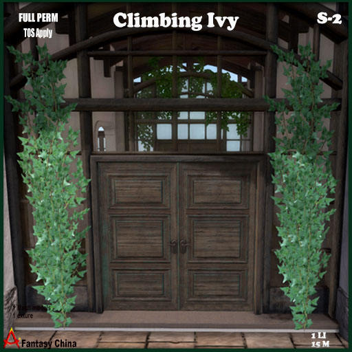 FULL PERM Climbing Ivy s-2