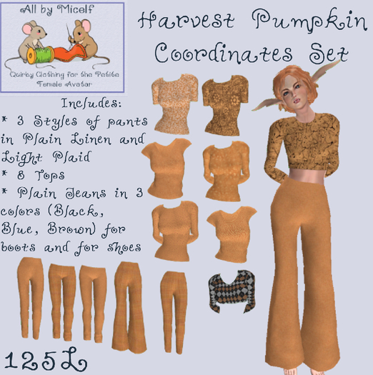 AbM Harvest Pumpkin