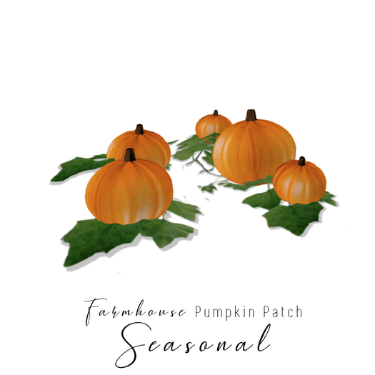 Farmhouse - Pumpkin Patch