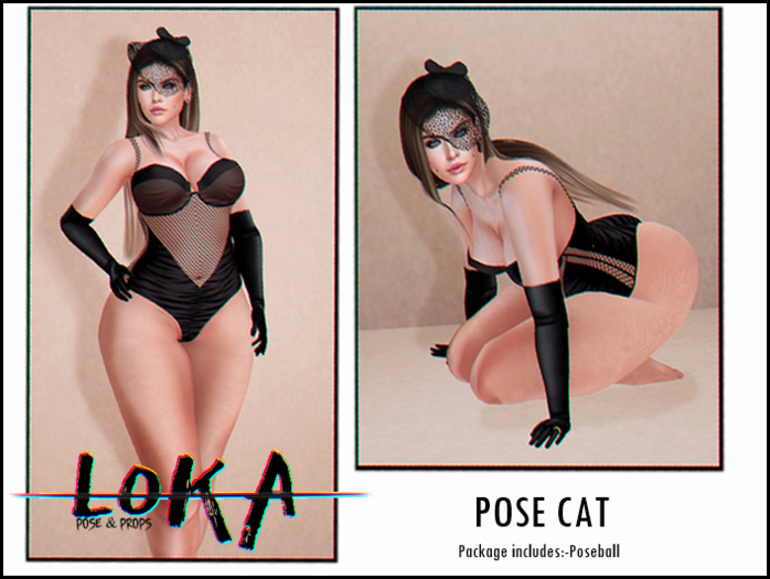 :LOKA: Pose Cat