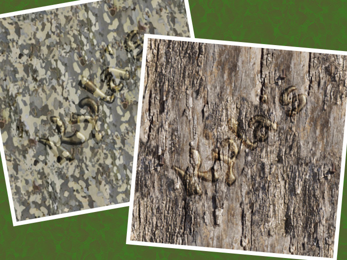 Bark, Deciduous 3 & 4