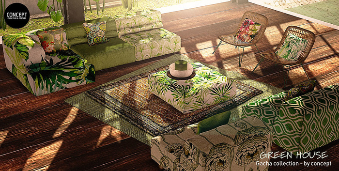 03. Concept} Green House: HOUSE RARE