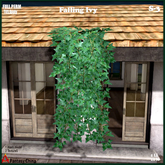 FULL PERM Falling Ivy s-3