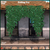 FULL PERM Falling Ivy s-4