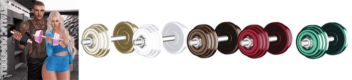 Kaiser - Metal Dumbbell w Bento Animation Festives