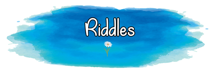 Trivia Daze - Riddles - For Trivia Balls