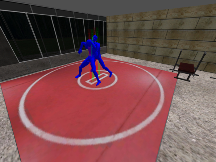 Dojo/Gym mat (PG)