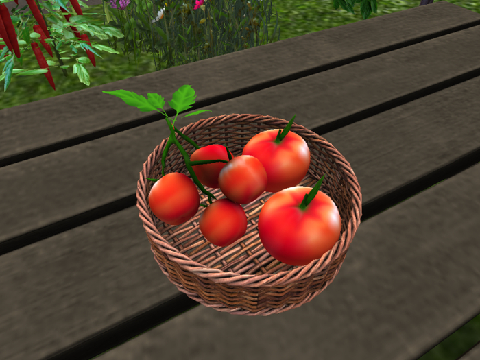 DFS Tomato Basket