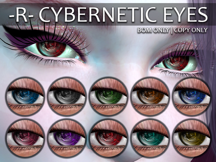 Rookery: Cybernetic Eyes