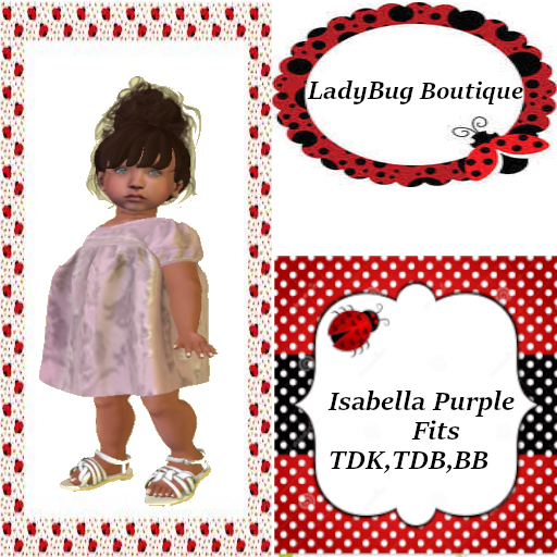 ISABELLA PURPLE BOXED
