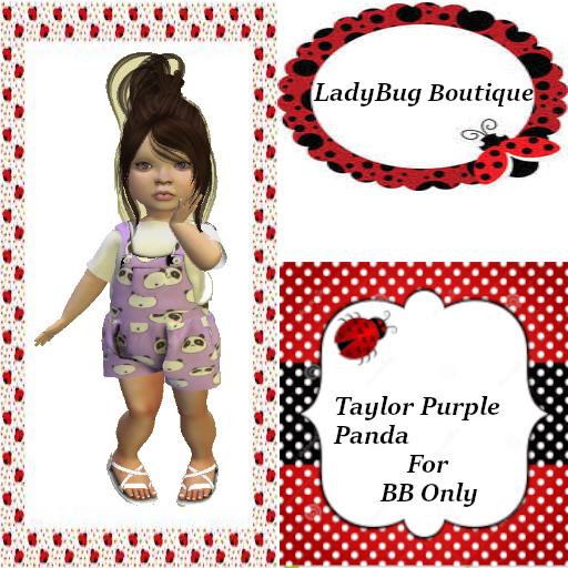 LBB TAYLOR PURBLE