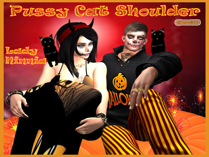 LBC Cats pet shoulder box