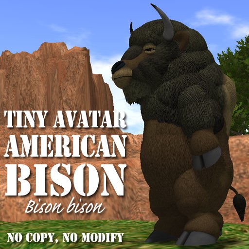 Tiny American Bison Avatar