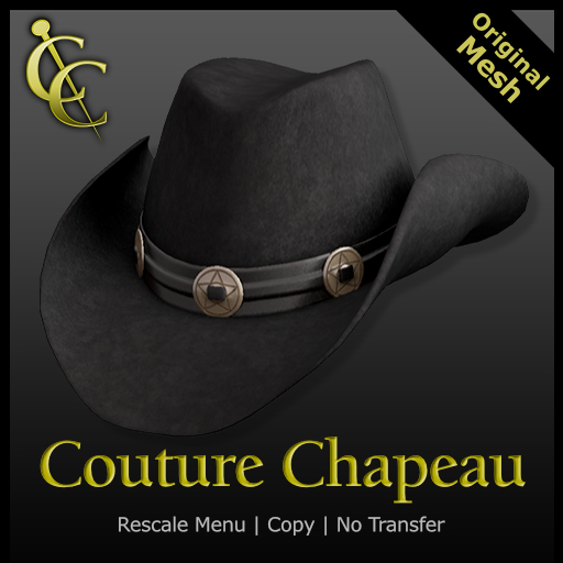 CC Reno Cowboy Hat: Felt {DEMO}