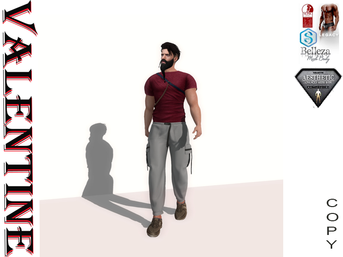 Men's Pants Gray