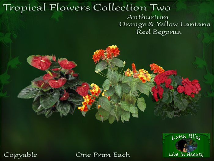 Tropical Flowers Collection Two By Luna Bliss