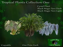 Tropical Plants Collection One By Luna Bliss