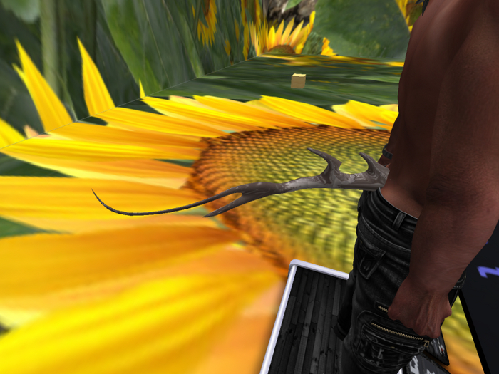 Second Life Marketplace - Bento Rigged Finned Tail