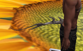 Second Life Marketplace - Bento Rigged Finned Tail