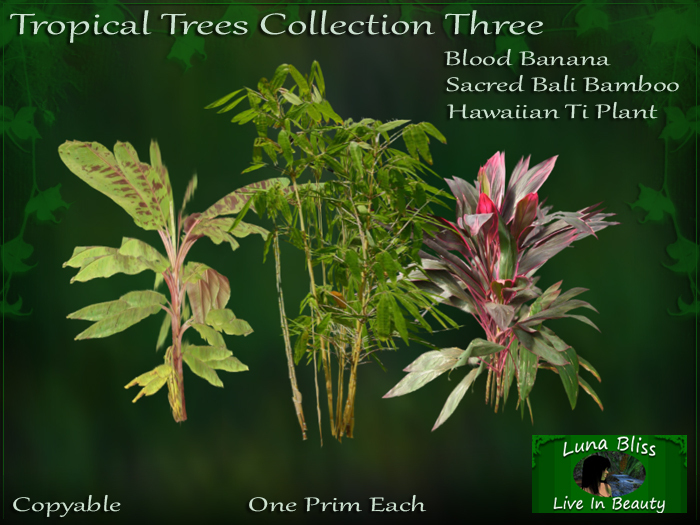Tropical Trees Collection Three By Luna Bliss