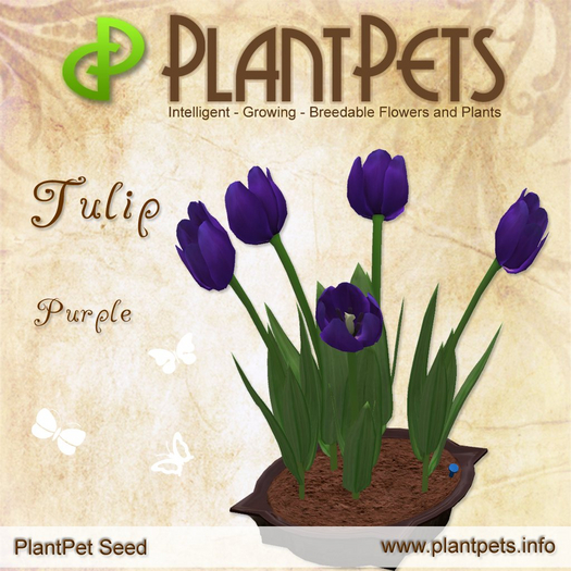 [UPDATED] PlantPet Seed [Tulip *Purple*] RARE