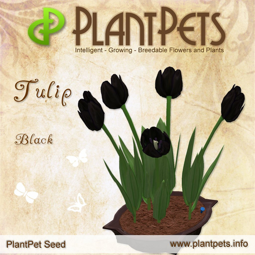 [UPDATED] PlantPet Seed [Tulip *Black*] RARE