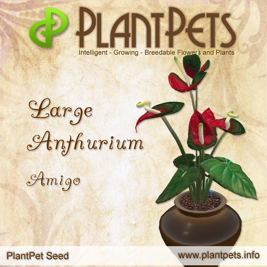 [UPDATED] PlantPet Seed [Large Anthurium *Amigo*] RARE ELITE