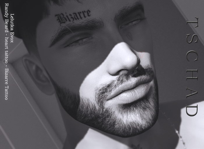 TSCHAD / Randy Beard & Tatts Lel Evox