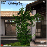 FULL PERM Climbing Ivy s-3